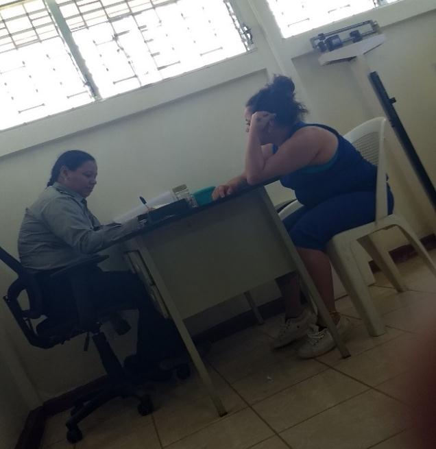 sistema